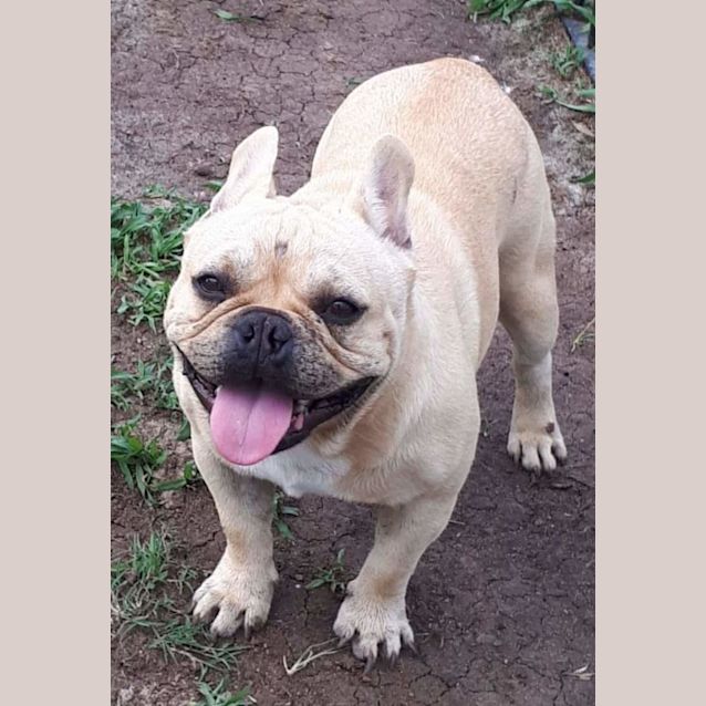 Photo of Trigger 