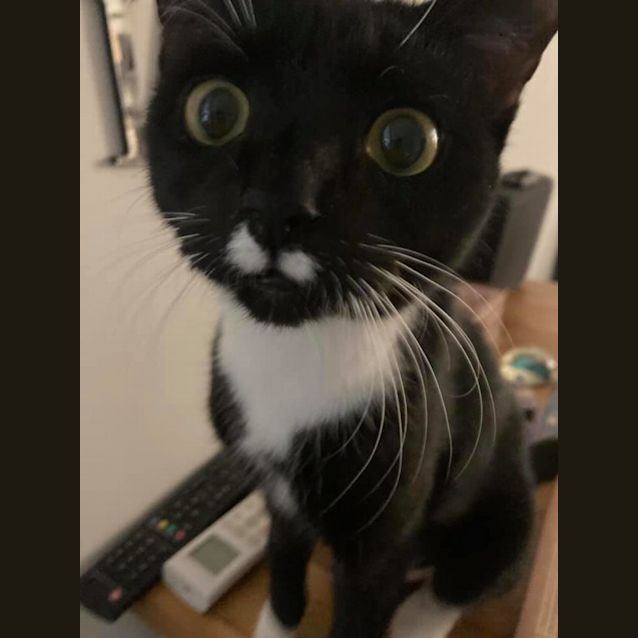 Photo of Tia