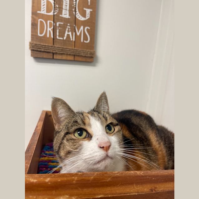 Photo of Matilda
