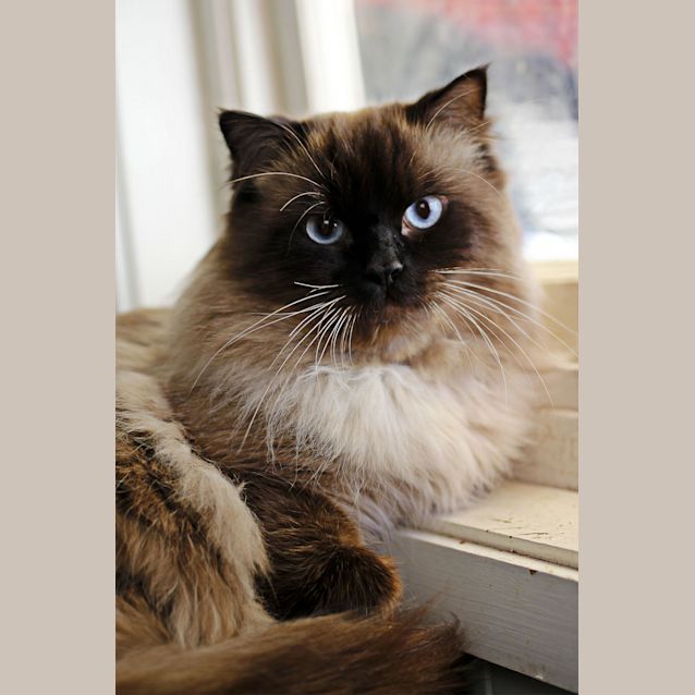 Photo of Barney Rubbles