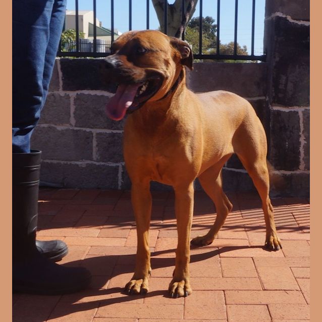 Photo of Ruby Rose