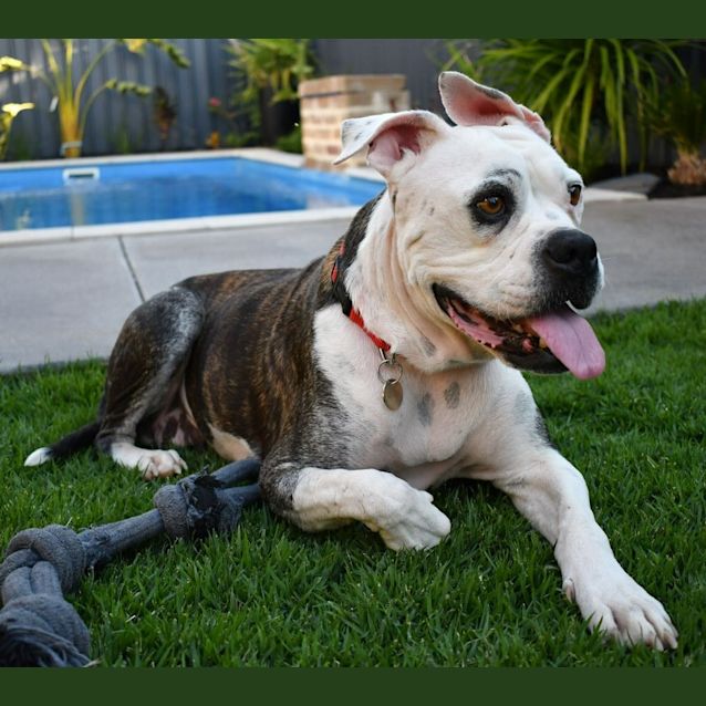 Photo of Lula