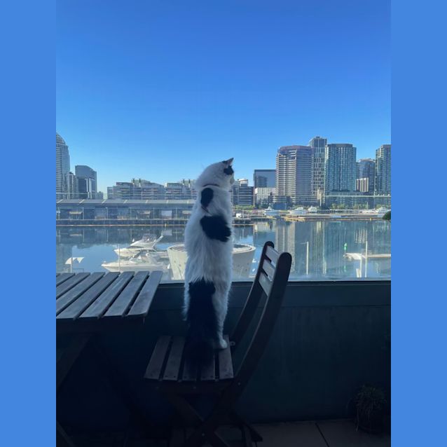 Photo of Cersei 