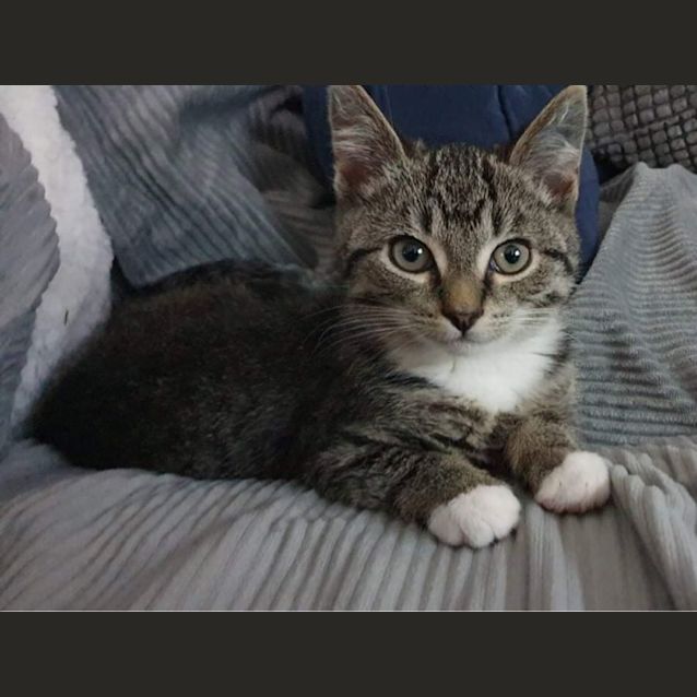 Photo of Fletcher & Aloy