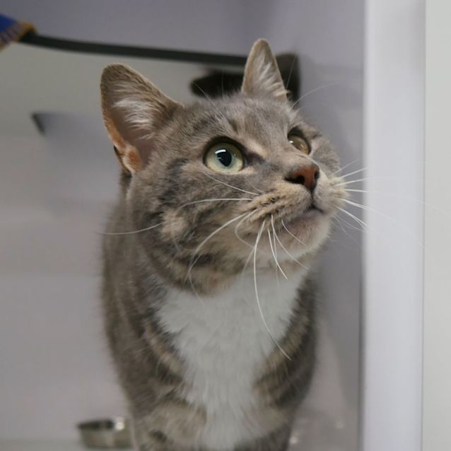 Photo of Monocle Sta008845