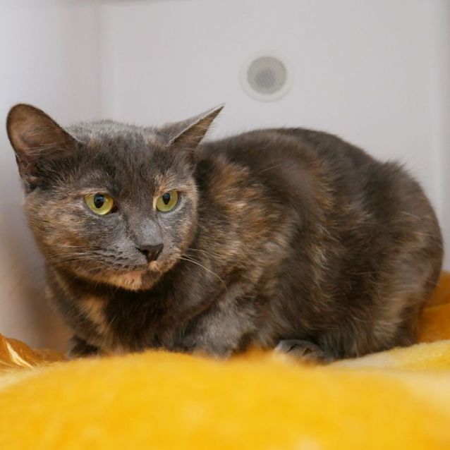 Photo of Lola Rsua008644