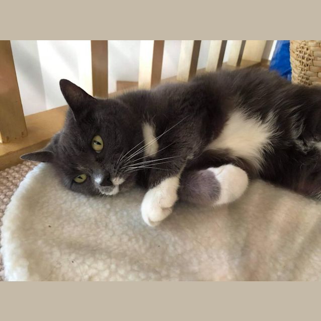 Photo of Belle