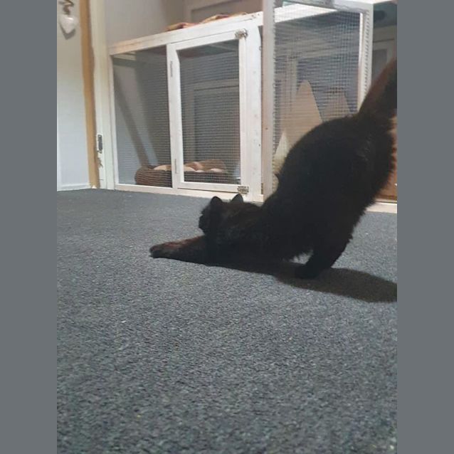 Photo of Holly