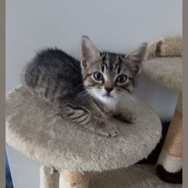 Photo of Jazz