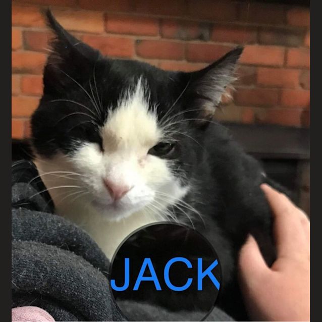 Photo of Jack 