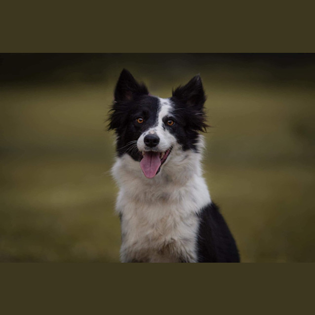 Photo of Tiabeanie