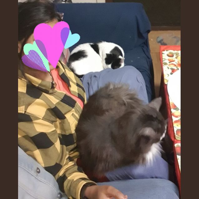 Photo of Dexie And Diesel