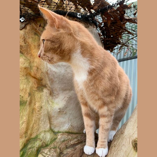 Photo of Humphrey 