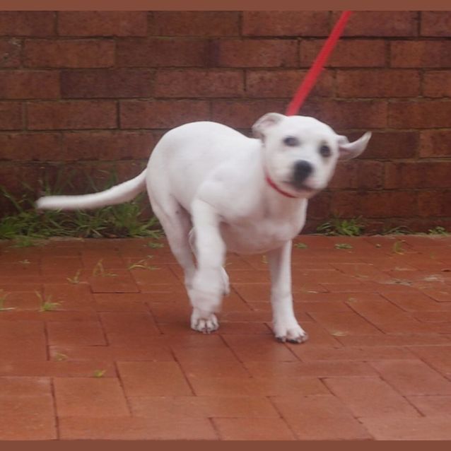 Photo of Millie