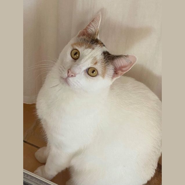 Photo of Val