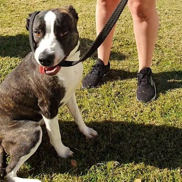 Photo of Lala Dl2726