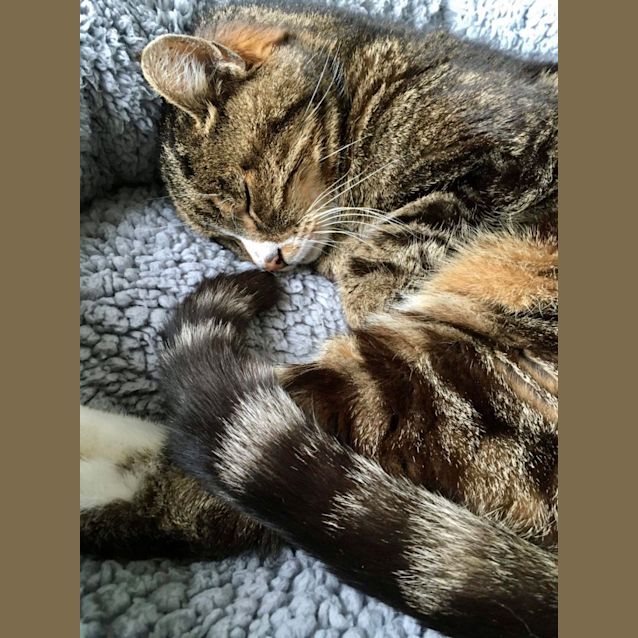Photo of Molly