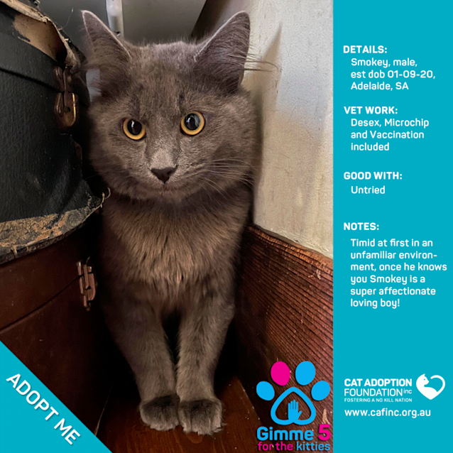 Photo of Smokey
