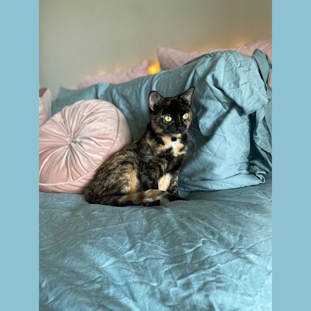 Photo of Emma