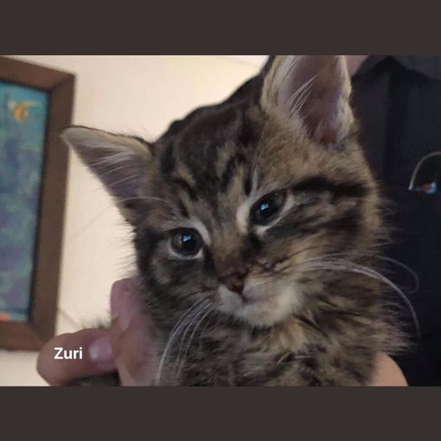 Photo of Zuri