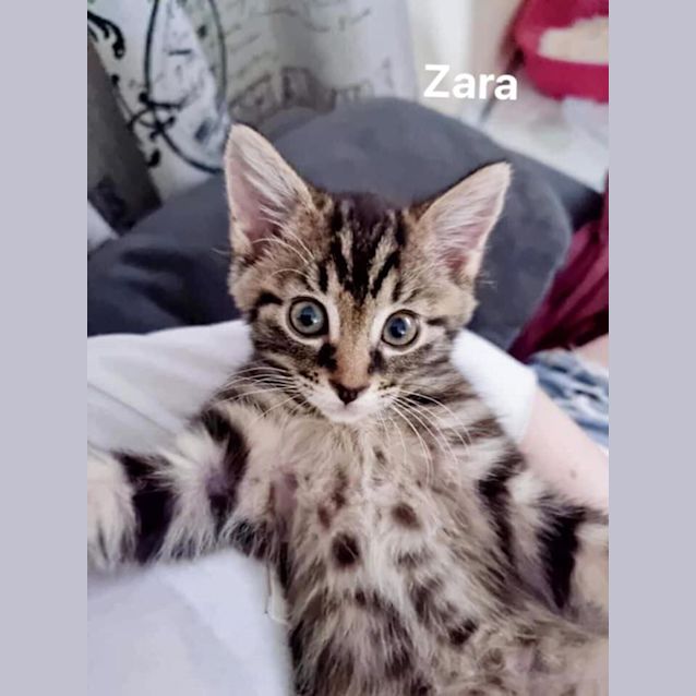 Photo of Zara