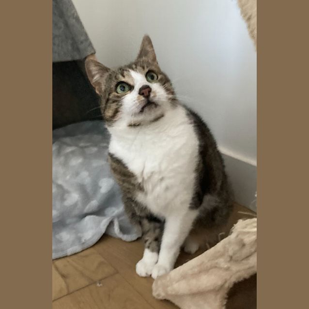 Photo of Darla   Located In Collingwood