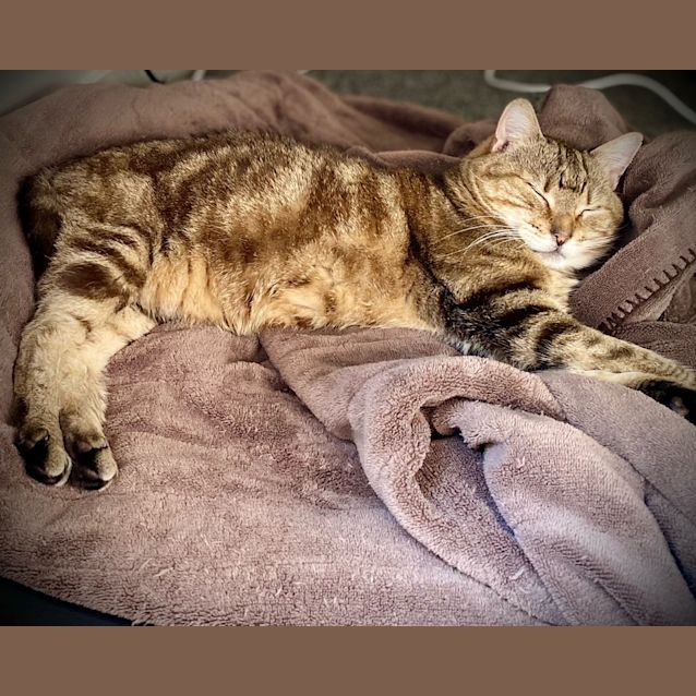 Photo of Princess 