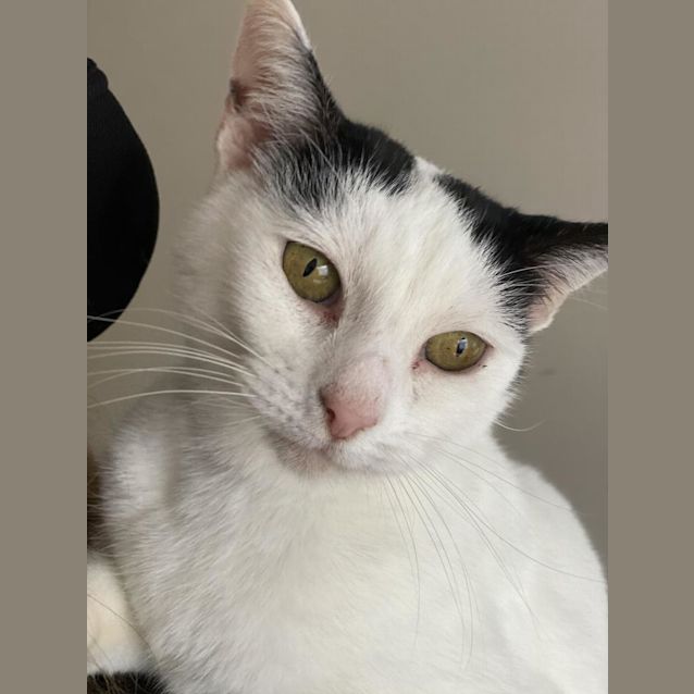 Photo of Milly Spotz