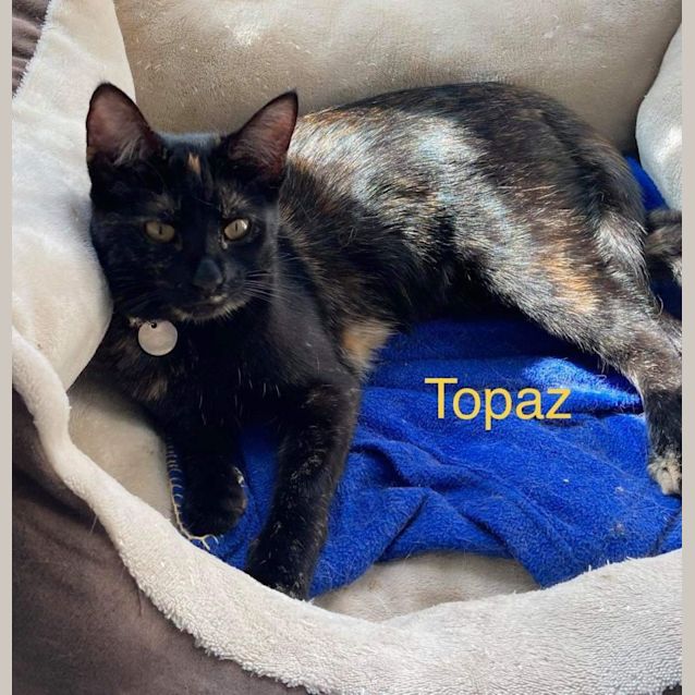 Photo of Topaz