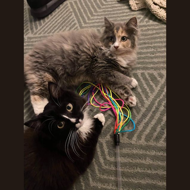 Photo of Florian And Gigi