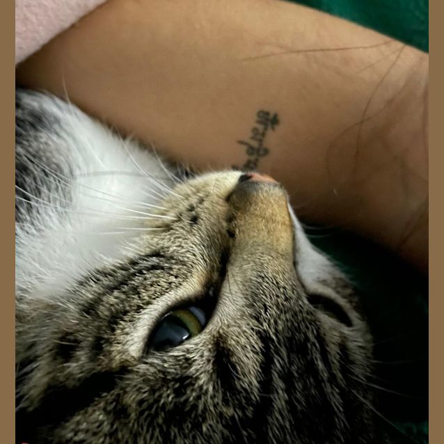 Photo of Pipi And Pipa