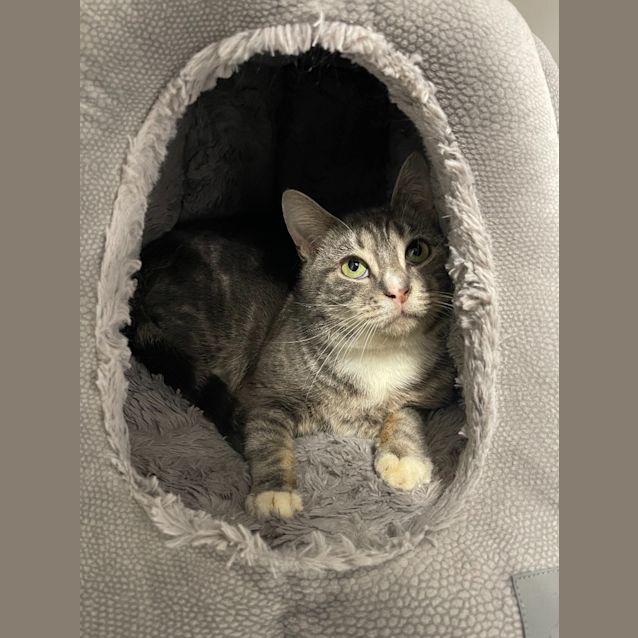 Photo of Gandalf