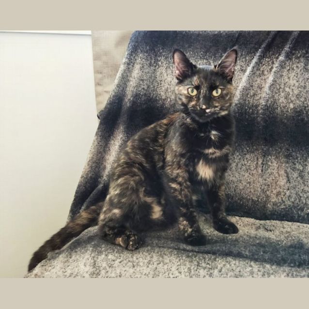 Photo of Betty 