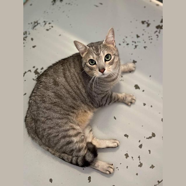 Photo of Jax