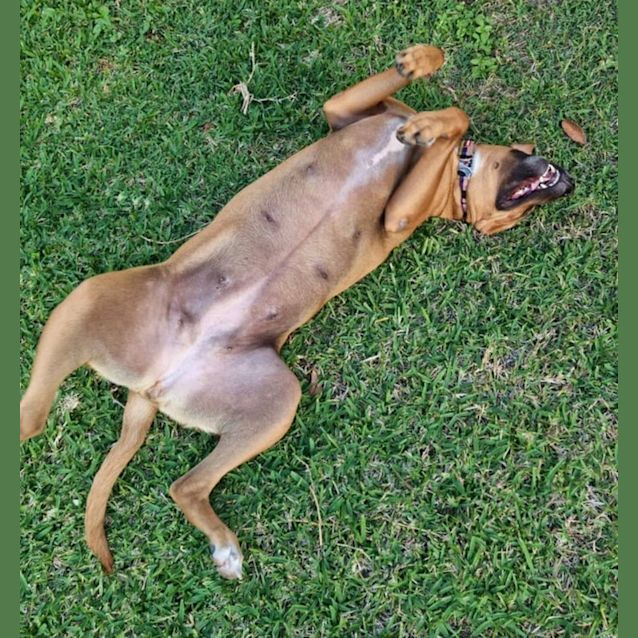 Photo of Sadie