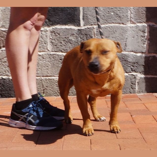 Photo of Kikki