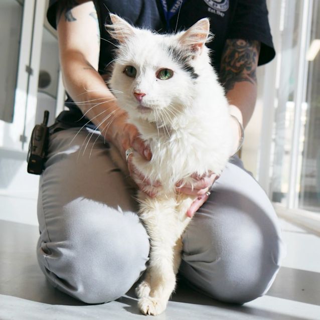 Photo of Melony Sua008912