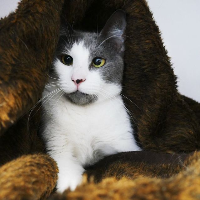 Photo of Betsy Sua008964