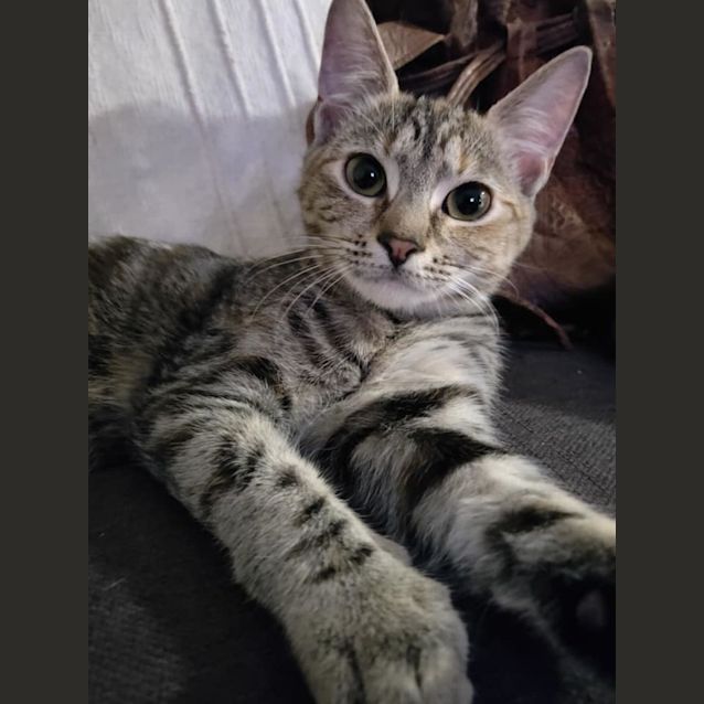 Photo of Brady