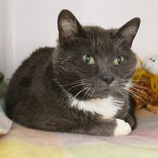 Photo of Ducky Sua008901