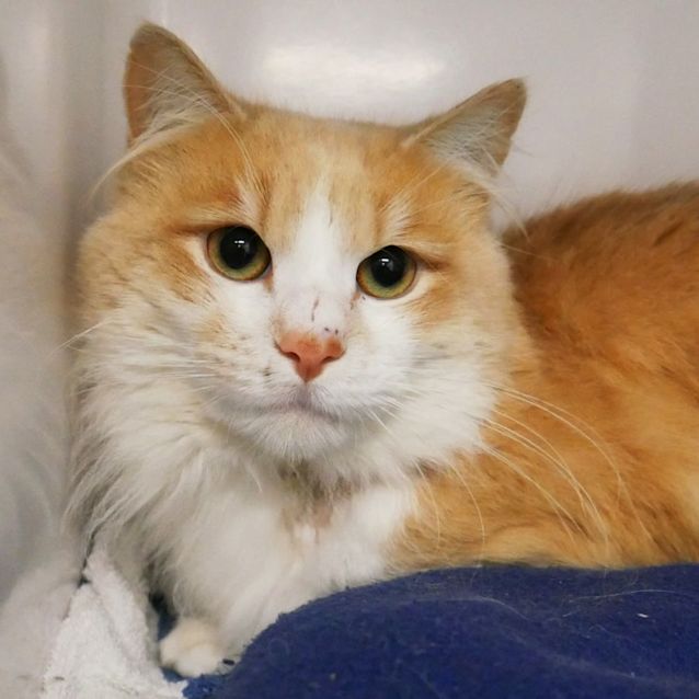 Photo of Ray Sta008963