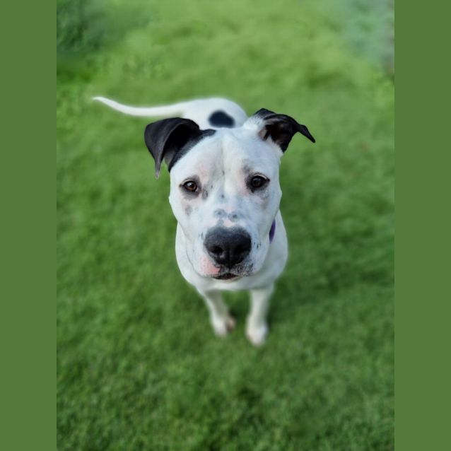 Photo of Maggie