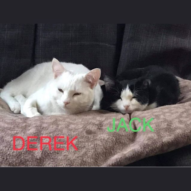 Photo of Derek & Jack 