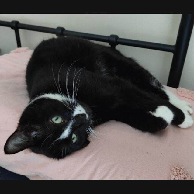 Photo of Jax 🤗💙