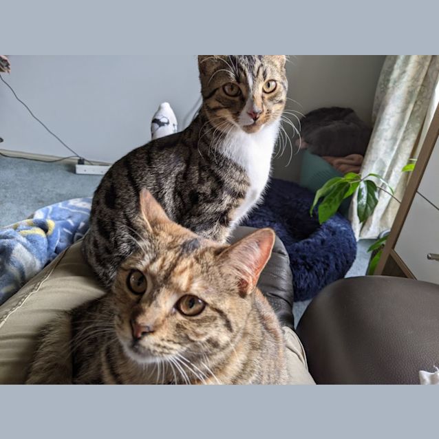 Photo of Winnie And Hazel