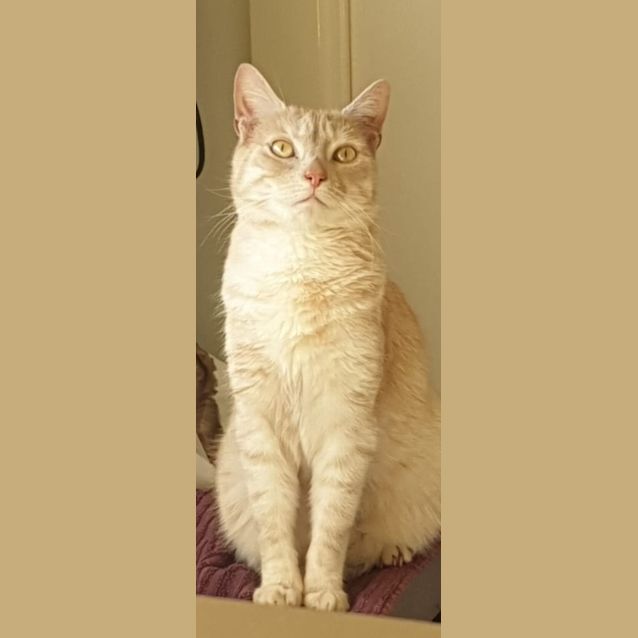 Photo of Arty