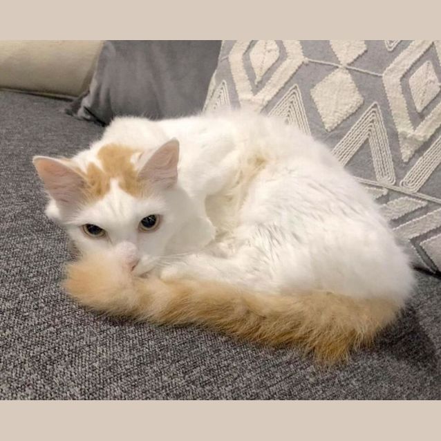 Photo of Princess