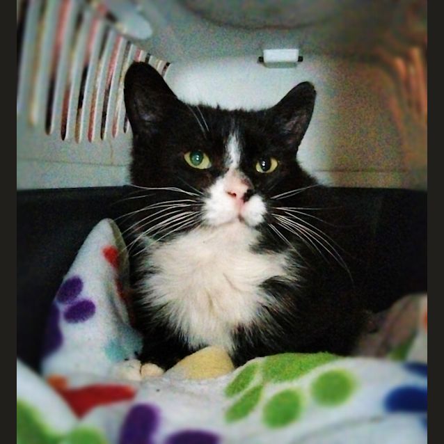 Photo of Minnie