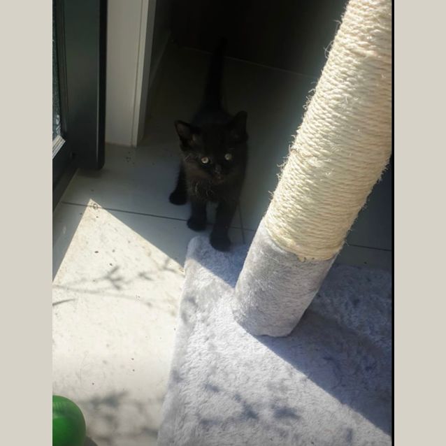 Photo of Laria 