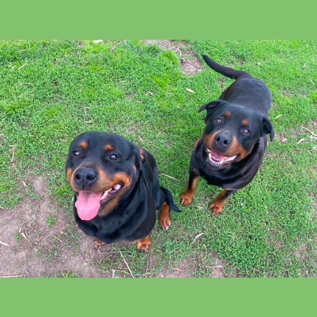 Photo of Ruby And Frankie